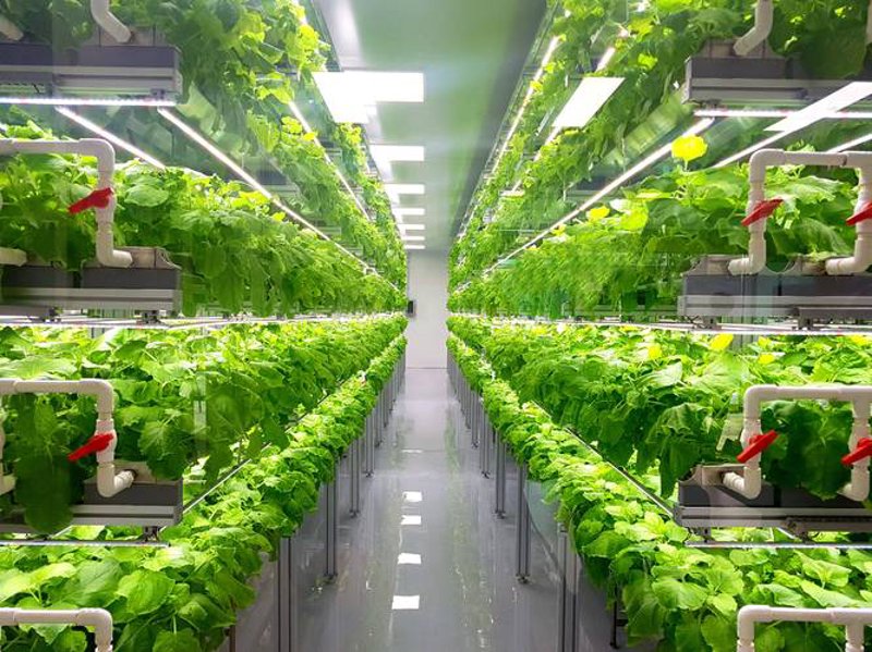 生物制剂：科技与生命健康的完美融合