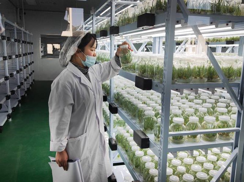 农业生物技术