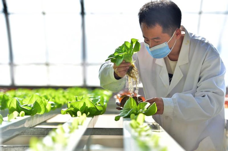 南京生物技术公司的行业动态观察
